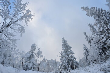 Stołowe Mountains, Poland