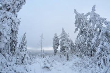 Stołowe Mountains, Poland