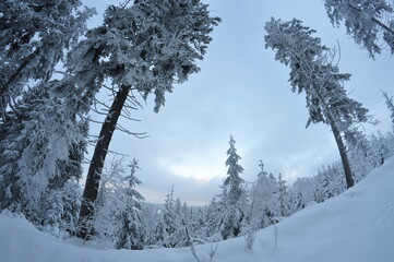 Stołowe Mountains, Poland