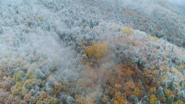 Cinematic flight above fabulous snow-covered autumn forest on slopes of hills, first snow lies on trees. Impressive early winter natural landscape. Snowfall, fall of snow. Abstract pristine nature