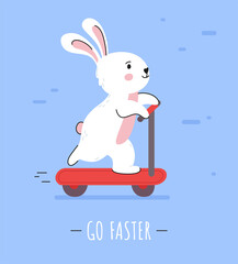 Cute rabbit ride on a scooter.