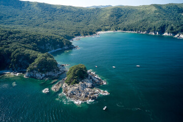 Obraz premium aerial view of the sea and forest
