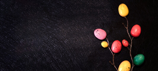 Fototapeta na wymiar multicolored eggs on a branch on a black background