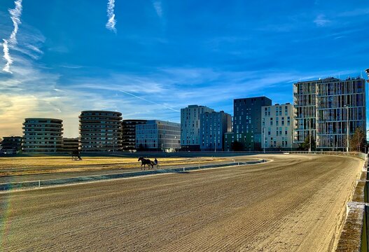 Trabrennbahn Bilder Durchsuchen 2,493 Archivfotos, und