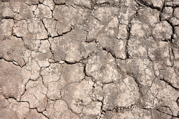 dried soil or cracked ground texture background. top view               