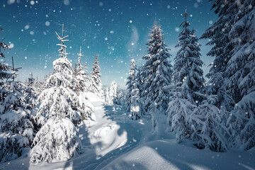 Wonderful winter landscape with trees in frost. Merry christmas and happy new year greeting background. .Winter landscape with snow and christmas trees. Awesome wintry Scenery