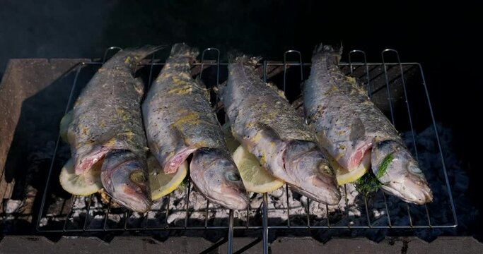 Sea bass or grouper fish grilled over charcoal. Close-up shot cooking seafish with aromatic spices on barbecue grill plate. Baking roasting marinated delicious seafood. BBQ  in summer garden outdoors 