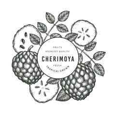 Hand drawn sketch style cherimoya banner. Organic fresh fruit vector illustration on white background. Engraved style botanical design template.