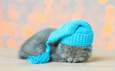 Fototapeta na wymiar A small kitten in a multi-colored hat sleeps curled up in a cozy ball on a pillow on a white wooden background against the background of Christmas lanterns.