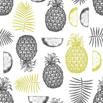 Hand drawn sketch style pineapple seamless pattern. Organic fresh fruit vector illustration on white background. Engraved style botanical design.