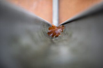 Ein Blatt liegt in der Dachrinne Wasserablauf Regenrinne Regenablauf Blick in einen Tunnel