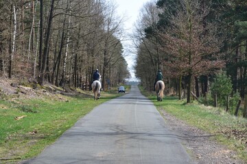 2 Reiter im Wald
