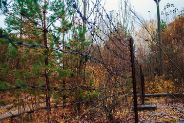 The abandoned city of Pripyat. Travel photos