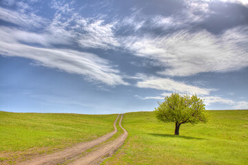 Fototapeta na wymiar The road to tranquility