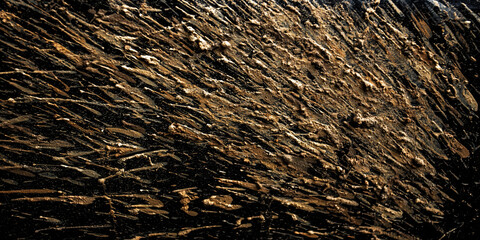 Black car with dirty mud for background