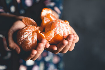 ripe tangerines. children holds tangerines with green leaves just plucked from a tree - 404269362