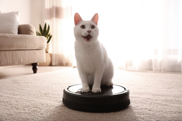 Modern robotic vacuum cleaner and cute cat on floor indoors