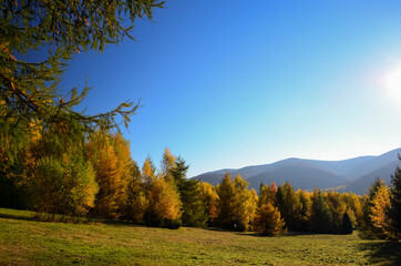 Autumn view, the way to Tarnica, Bieszczady Mountains