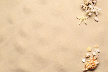 Fototapeta na wymiar Flat lay composition with seashells on sand beach, space for text. Summer vacation