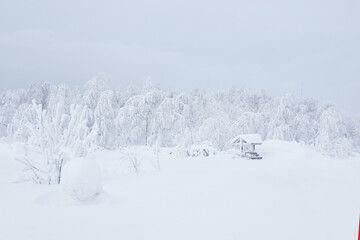 snowy wooded landscape with frost-covered gazebo