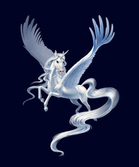 flying pegasus on wings isolated on black background