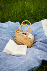 Very beautiful picnic in nature in the park. Straw bag, book, blue plaid. Outdoor recreation. Close-up.