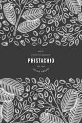 Hand drawn phistachio branch and kernels design template. Organic food vector illustration on chalk board. Retro nut illustration. Engraved style botanical banner.