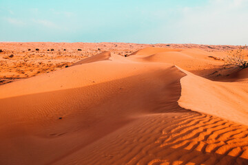 Fototapeta na wymiar Dünen in der Wüste Rub al Khali, Ras al-Khaimah, Vereinigte Arabische Emirate