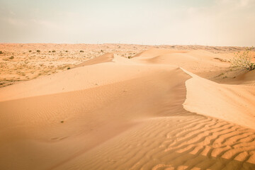 Fototapeta na wymiar Dünen in der Wüste Rub al Khali, Ras al-Khaimah, Vereinigte Arabische Emirate