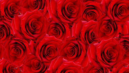 Background with red roses. Natural flowers. Texture.