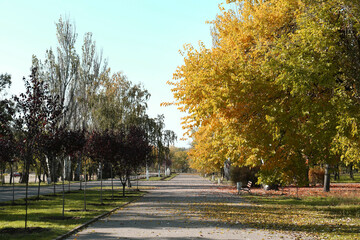 Beautiful view of autumn park on sunny day