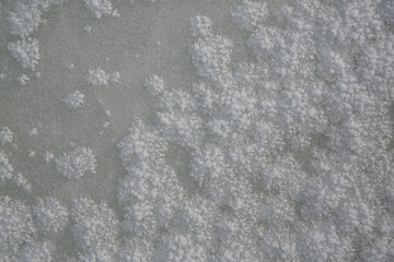 ice texture on the window, white