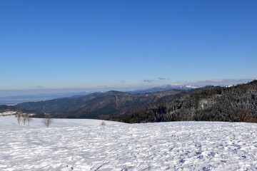 Fototapeta na wymiar Blick vom Geiersnest bei Freiburg über den verschneiten Schwarzwald