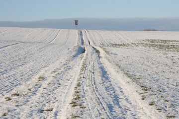 Feldweg im Winter.
