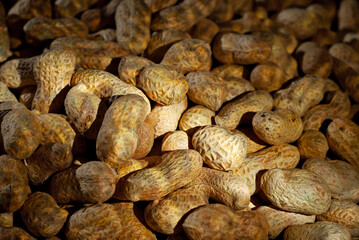 Fototapeta na wymiar Peanuts in shell close up. Texture of nuts. Contrasting dramatic light as an artistic effect.