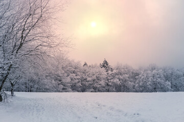 Panorama of snowy landscape in winter in Germany. Yellow sunset.