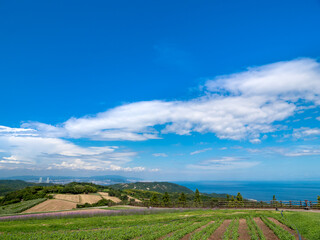 Obraz premium 淡路・花さじきからの眺め