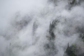 Fototapeta na wymiar Mist in the mountains of the Bavarian alps near Garmisch Partenkirchen with some barely visible trees no. 3