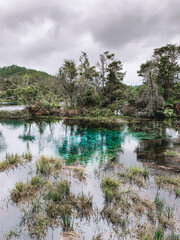 lake in the forest