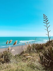 surf beach in Raglan, New Zealand