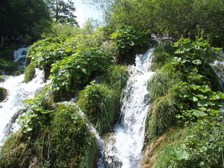 Fototapeta na wymiar Plitvice Lakes National Park in Croatia offers unspoiled and unique nature full of lakes, rivers and waterfalls