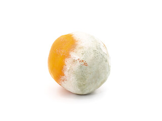 Tangerine with mold.
