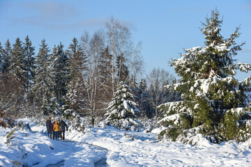 neige hiver paysage Belgique Wallonie Gaume Ardenne bois foret balade famille