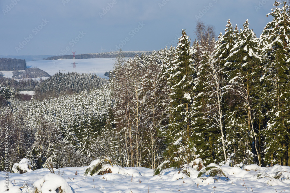 Poster neige hiver paysage Belgique Wallonie Gaume Ardenne bois foret