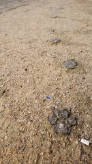 footsteps on the sand