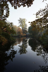 Fototapeta na wymiar October morning, walk in the autumn park, trees, ducks