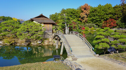 Fototapeta premium 日本庭園