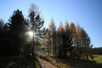 Autumn in Island Beskids near Kudlacze, Poland