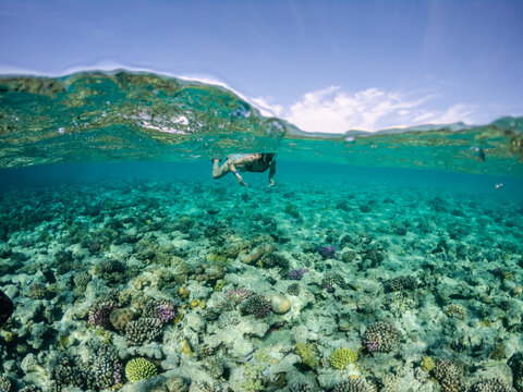 Underwater and surface split view of snorkeling in coral reef in exotic sea