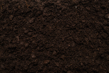 Black land for plant background.